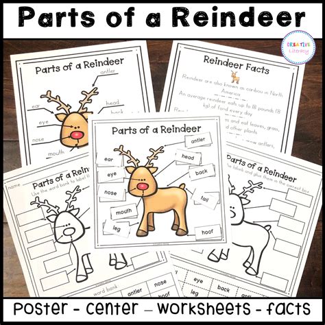 Reindeer Labeling Activity Classful