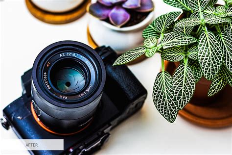 50 Macro Photography Ideas You Can Do At Home