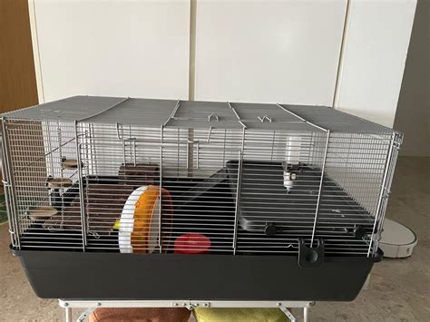 Syrian hamster cage, Pet Supplies, Homes & Other Pet Accessories on ...