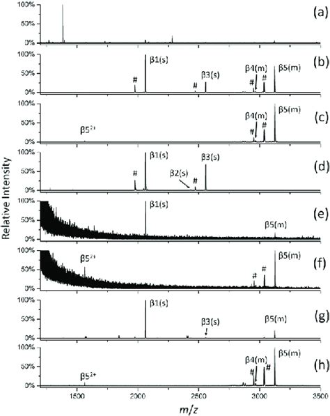 Maldi Tof Ms Spectra Of Digest Of B Casein A Before Enrichment And