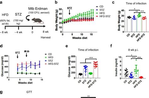 New Study Links Blood Glycerol Levels To Tuberculosis Severity In Type