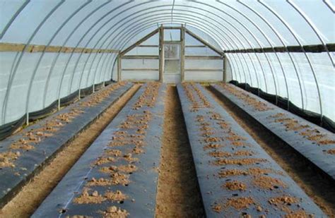 DIY Hoop House Guide The Grow Network