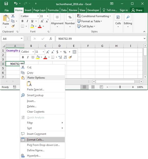 MS Excel 2016: Format display of text in cell (ie: numbers, dates, etc)