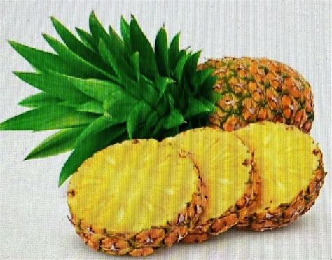 pineapple  chittoor latest price mandi rates  dealers  chittoor