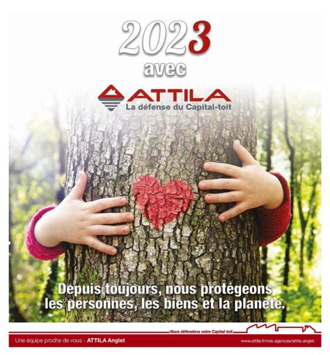 Attila Anglet Lexpert De La Maintenance Des Toitures Attila