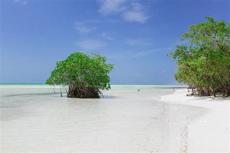 Cayo Coco 2024: Best Places to Visit - Tripadvisor