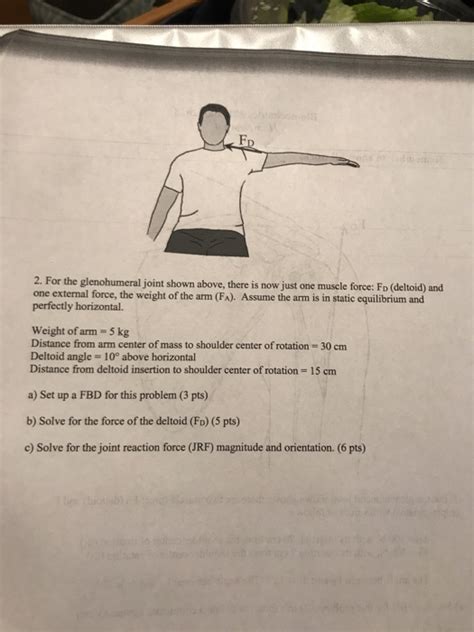 Solved 2 For The Glenohumeral Joint Shown Above There Is