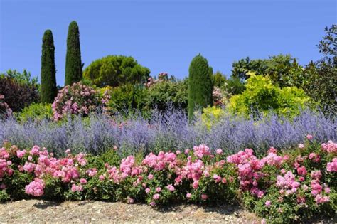 Avec ces fleurs vos parterres de jardin feront sensation tout l été