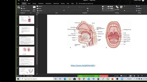 Class7 Science Buccal Cavity July1 Youtube