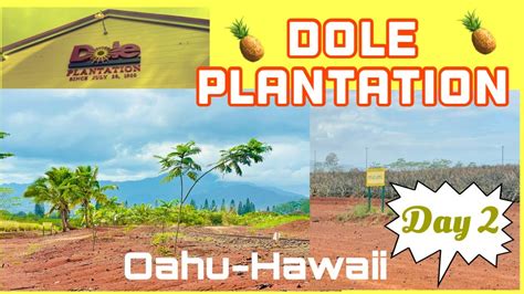 Oahu Hawaii Visiting The Dole Plantation Farm Youtube