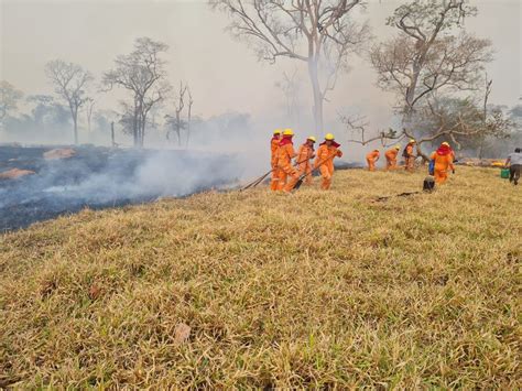 Abt Activa 43 Procesos Penales Por Incendios Forestales En Santa Cruz Y