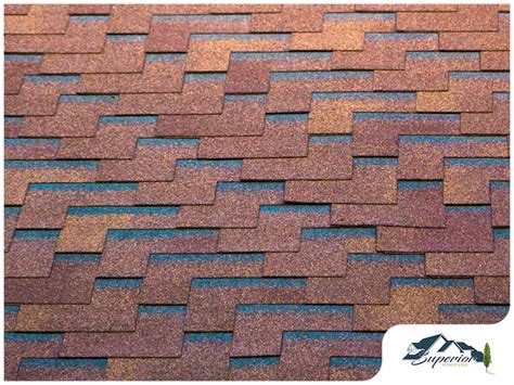 Asphalt Shingle Blisters Common Causes And Prevention Tips