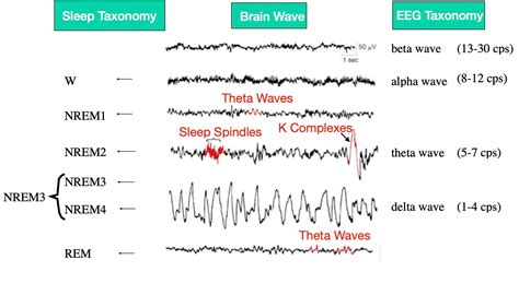 March Nyby S Nerdy Neuroscience Narratives