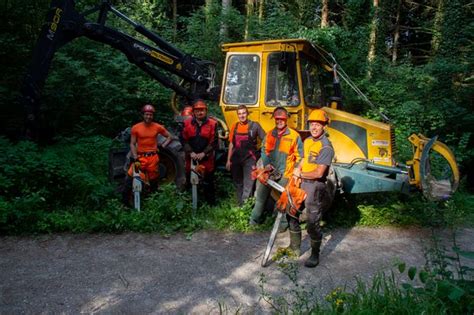 OK Präsi greift zur Kettensäge Schweizer Bauer