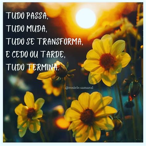 Tudo Muda Tudo Passa - Tudo passa, tudo muda, tudo se transforma. E cedo ou tarde tudo termina ...