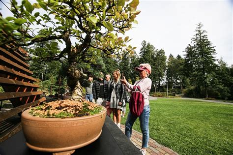 Niesamowite Drzewka bonsai w Ogrodzie Botanicznym w Zielonej Górze