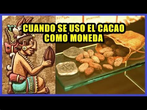 Semillas De Cacao Usadas Como Dinero Por Los Mayas Y Aztecas Youtube