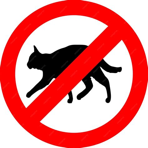 Premium Vector No Cat Sign On White Background