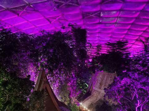 Magisches Tropenleuchten 2024 Im Zoo Leipzig