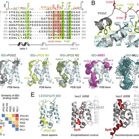 Ledgfp75 Ibd Binding Partners Interact In A Structurally Conserved