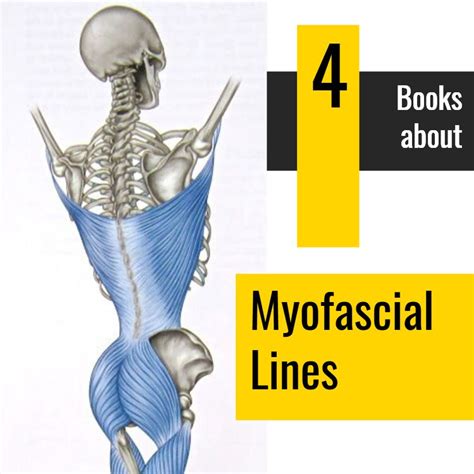 4 Best Books On Myofascial Lines 3 Of Them You Never Knew Existed