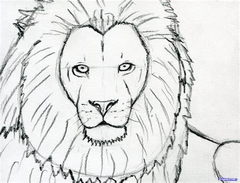 Easy Lion Face Drawing At PaintingValley Explore Collection Of