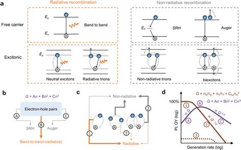 Recombination Kinetics Of Free Carrier And Excitonic Systems Ac