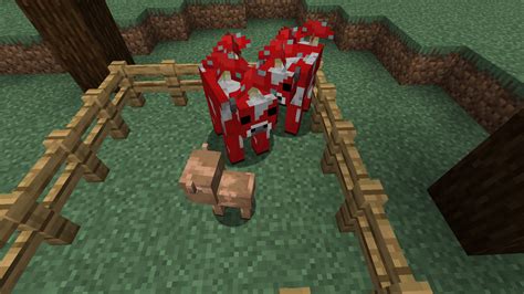 Secret Mooshroom Feature 3 Breeding Two Red Mooshrooms Has A 11024