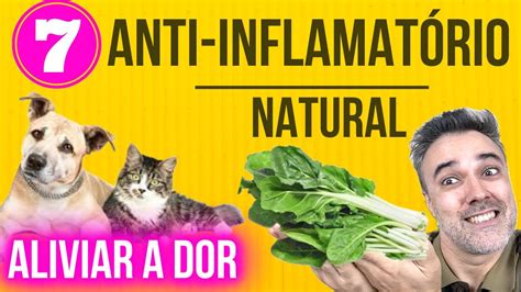 7 ANTI INFLAMATÓRIOS NATURAIS BONS BARATOS para Alívio da Dor EM