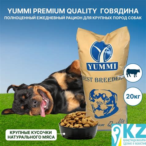 Купить Корм YUMMI Premium Quality Говядина для взрослых крупных пород ...