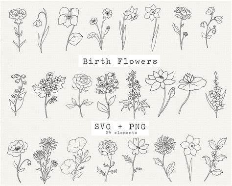 Birth Month Flower SVG Bundle Birthday Flower Flower Etsy