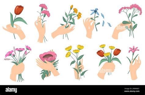 Cartoon Female Hands Holding Flower Bouquets Stock Vector Image And Art Alamy