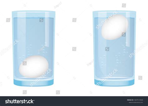 2419 Egg Floating In Water Images Stock Photos And Vectors Shutterstock