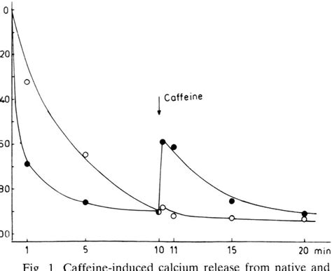 Figure 1 from Selective Abolition of Sarcoplasmic Reticulum Vesicles’ Calcium Releasing ...