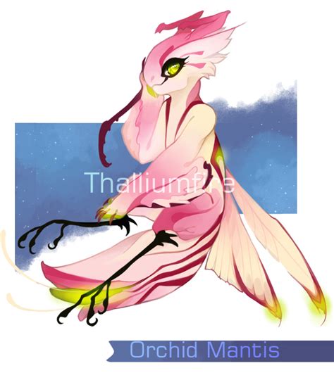 Orchid Mantis By Nebnommothership On Deviantart