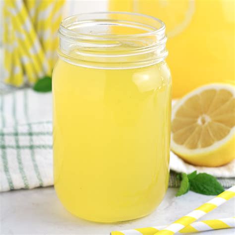 Yummy Frozen Lemonade - Borrowed Bites