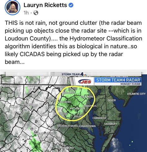 Weve Reached The Radar Portion Of The Cicada Season Here In The Dmv