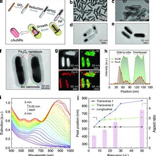 Synthesis And Characterization Of Magnetic Plasmonic Hybrid