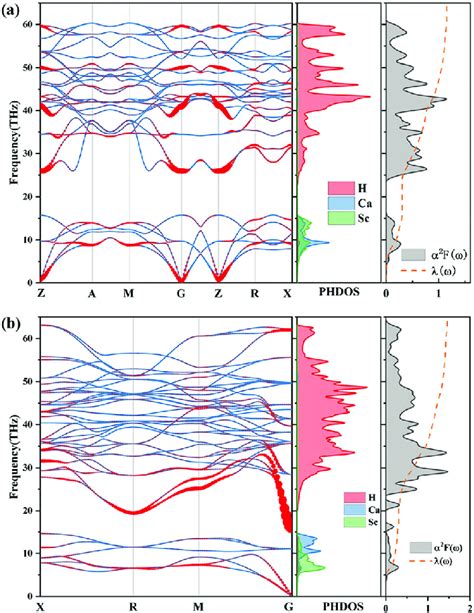 Calculated Phonon Dispersion Curves Projected Phonon Density Of States