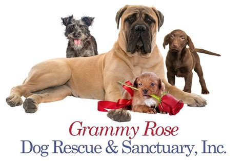 Grammy Rose Dog Rescue And Sanctuary