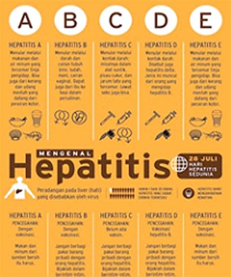 Mengenal Penyakit Hepatitis Mencegah Dan Mengobati Papuadalamberita