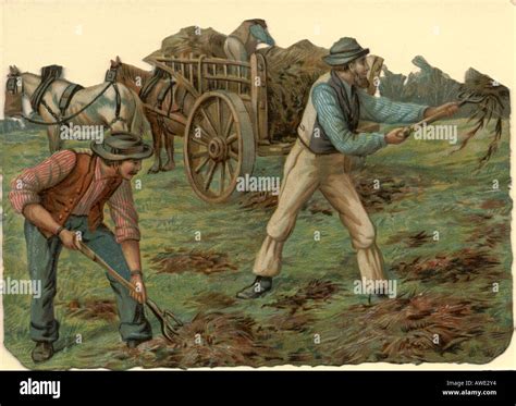 Farm Labor 1800