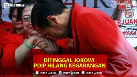 Ditinggal Jokowi Bikin PDIP Hilang Kegarangan Mata Lokal Memilih