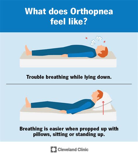 Orthopnea Causes Symptoms Diagnosis And Treatment