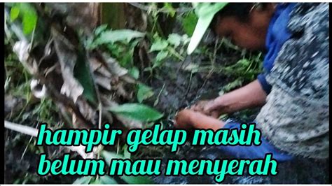 Mancing Sudah Sore Hasilnya Lumayan YouTube