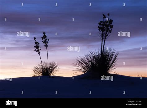 Sunrise at White Sands National Monument in New Mexico Stock Photo - Alamy