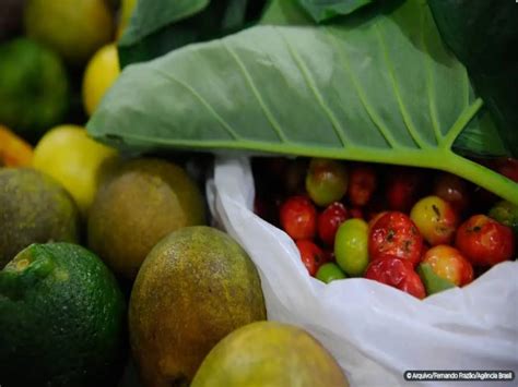 Saiba quais alimentos compõem nova cesta básica Portal Ururau Site