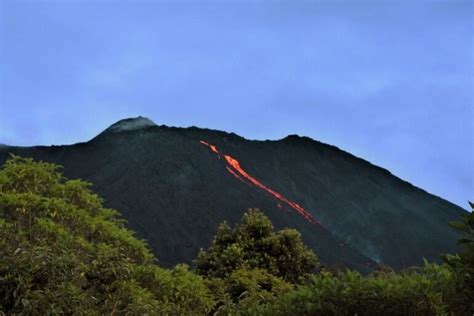 Volcán de Pacaya en Guatemala 2025 Ver lava volcánica