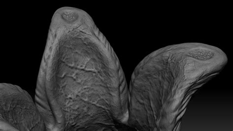 Stl File 3d Printable Open Alien Egg 1979 Covenant Flat Bottom Two Pack