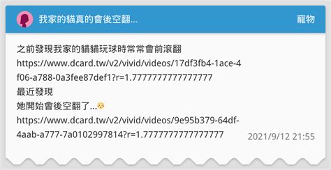 我家的貓真的會後空翻 寵物板 Dcard